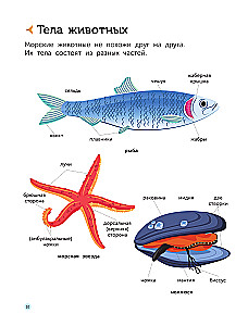 Požeminis pasaulis