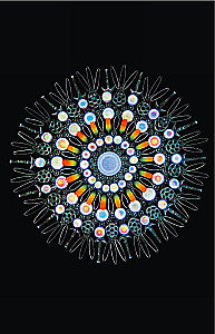 Cosmos. Possible Worlds
