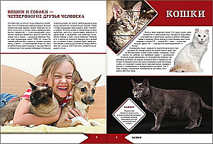 The Big Encyclopedia of Cats and Dogs