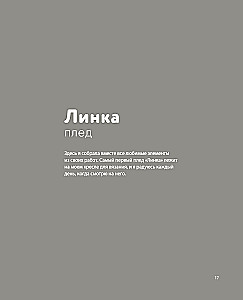 Dzikie wnętrza. Przytulne norweskie szydełkowanie dla miłośników przygód