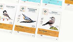 Brettspiel - Flügel. Vögel Europas (Erweiterung)