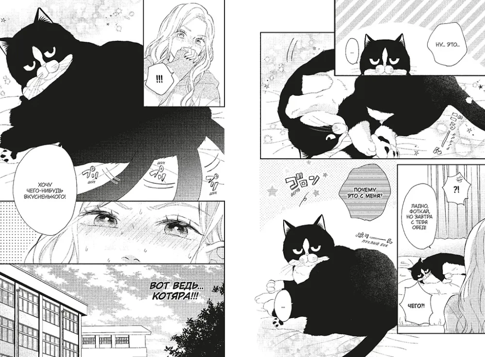 Kaķis un skūpsts. 2. sējums