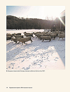 The Big Book of Shetland Lace. 12 Exquisite Shawls, Scarves, and Wraps for Knitting with Needles
