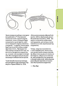 The Evolution of Socks. A New Guide to Knitting with Needles in Any Direction. 18 Innovative Designs