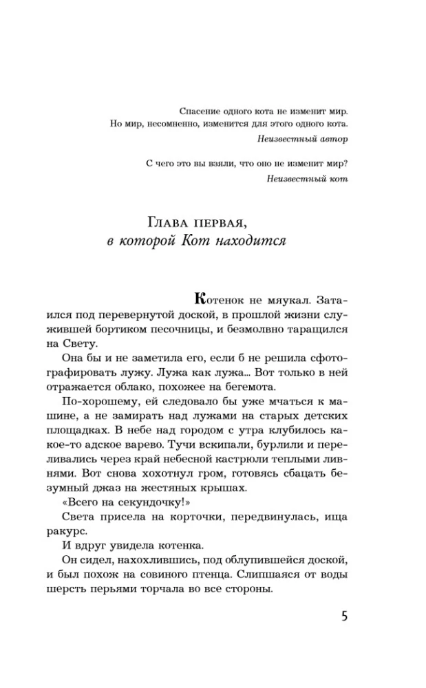 Котов обижать не рекомендуется