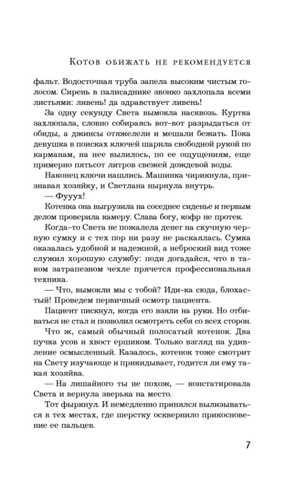 Котов обижать не рекомендуется