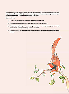 Bestiarium der chinesischen Mythologie. Buch der Berge und Meere. Mit erweiterter Realität