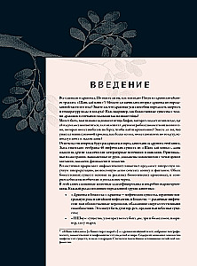 Bestiarium der chinesischen Mythologie. Buch der Berge und Meere. Mit erweiterter Realität