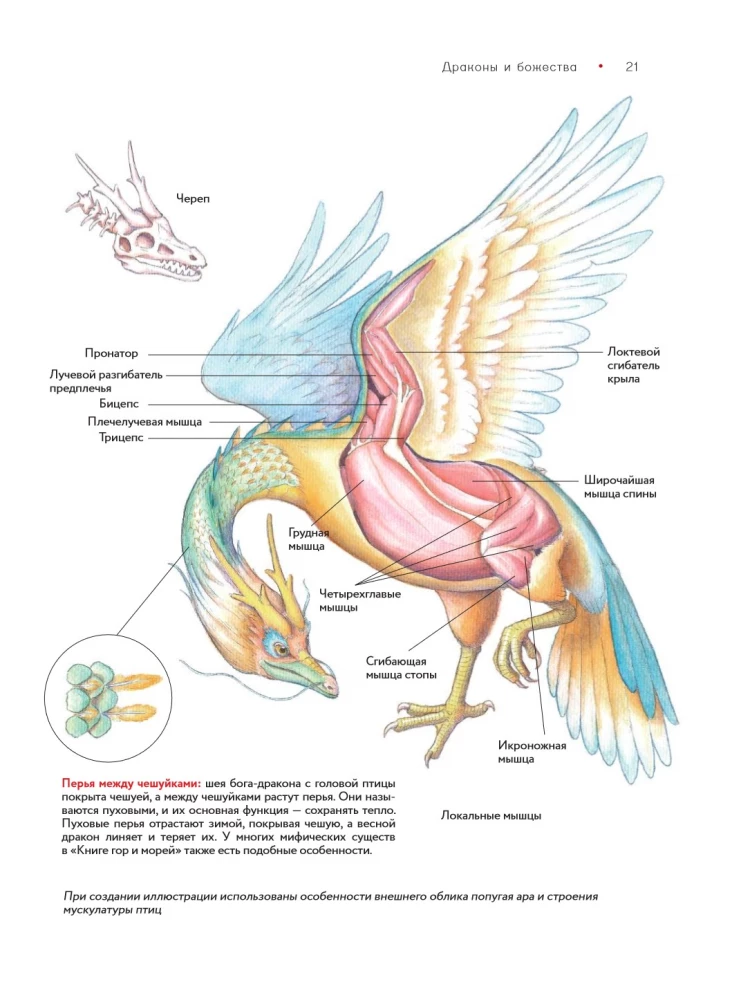 Bestiarium der chinesischen Mythologie. Buch der Berge und Meere. Mit erweiterter Realität