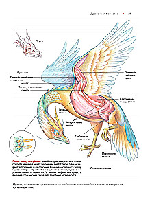 Bestiarium der chinesischen Mythologie. Buch der Berge und Meere. Mit erweiterter Realität