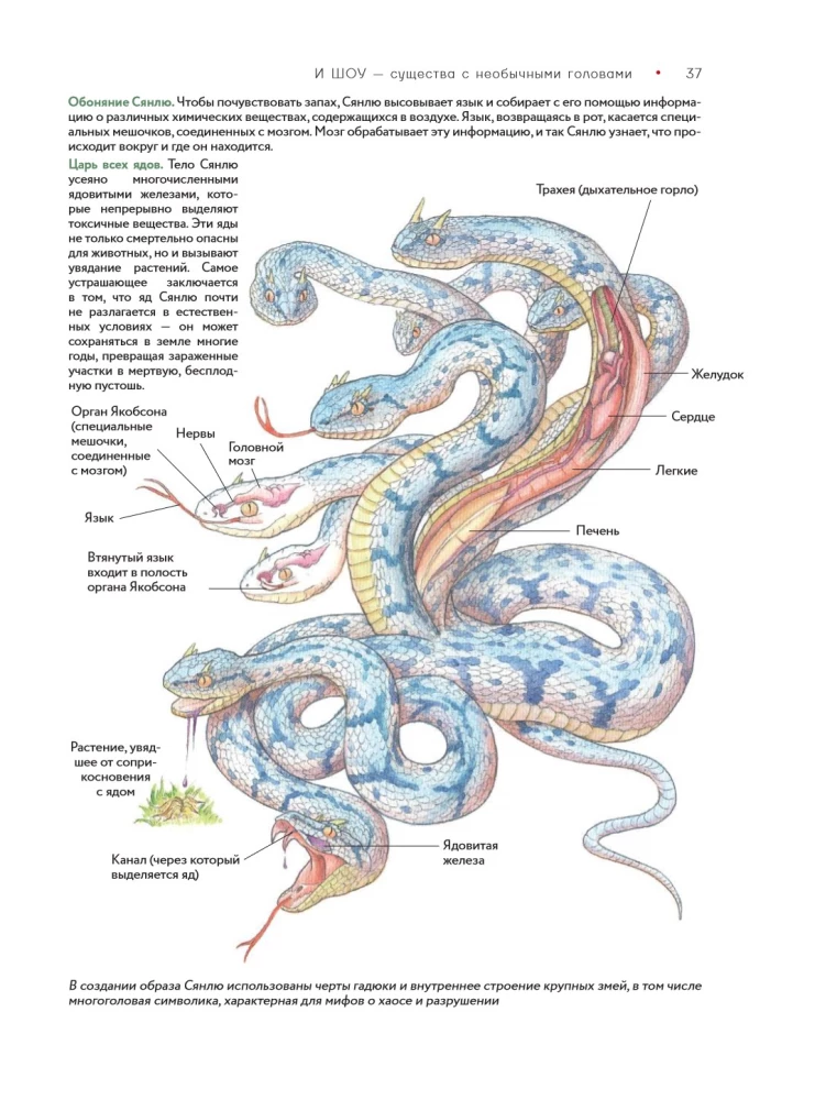 Bestiarium der chinesischen Mythologie. Buch der Berge und Meere. Mit erweiterter Realität