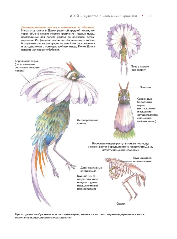 Bestiarium der chinesischen Mythologie. Buch der Berge und Meere. Mit erweiterter Realität