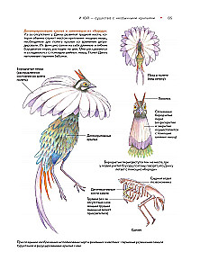 Bestiarium der chinesischen Mythologie. Buch der Berge und Meere. Mit erweiterter Realität