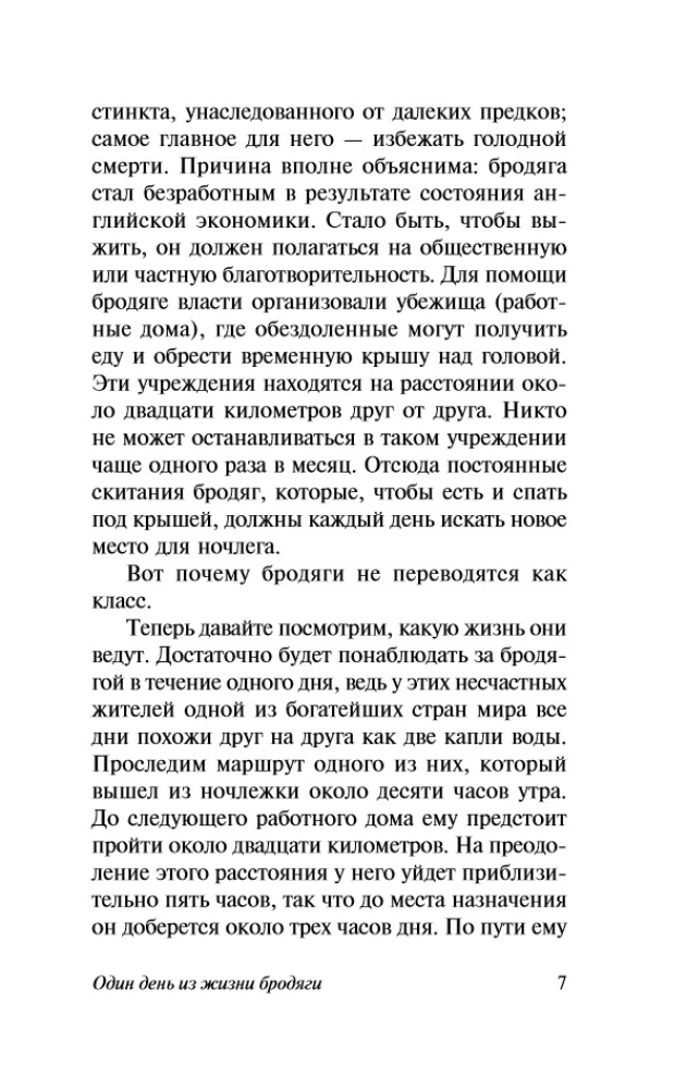 O polityce, kulinariach i literaturze