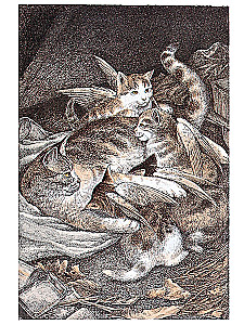 Fliegende Katzen