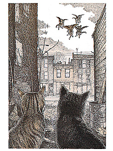 Fliegende Katzen
