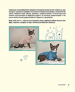 Beautiful clothes for dogs. Fluffy trends for any breed. Knitting with needles
