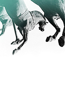 The Great Ballet. The History of the Main Theater of the Country
