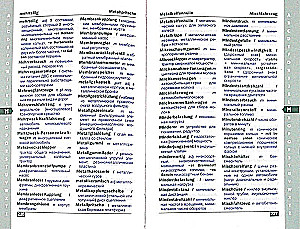 Deutsch-russisches und russisch-deutsches Automobilwörterbuch