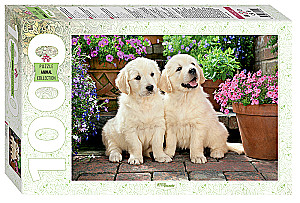 Puzzle 1000 - Lõbusad sõbrad