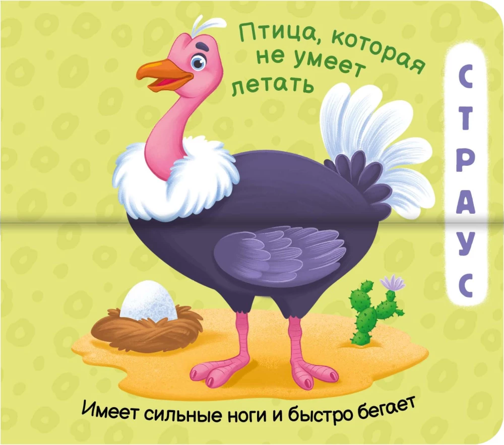 Linksmos pusės. Taip atrodo zoologijos sodas!