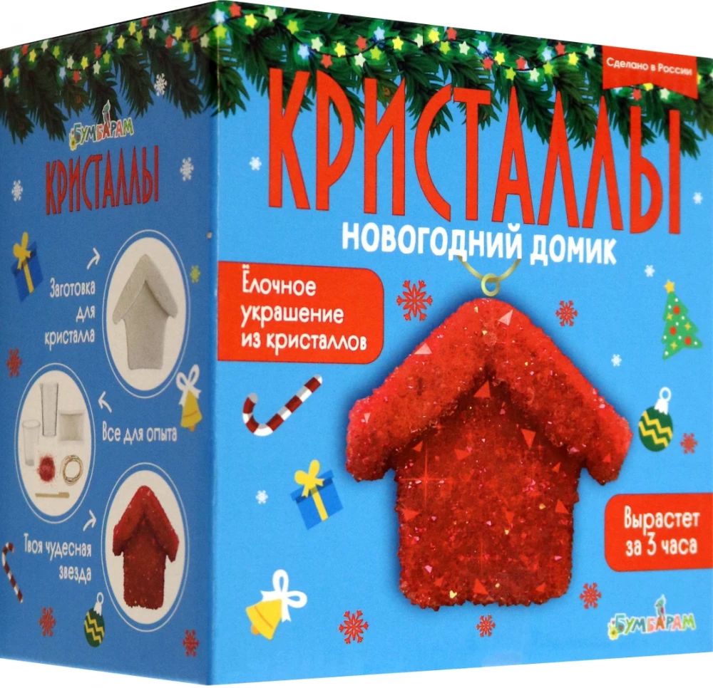 Experiment Set - Shaped Crystal. New Year's House