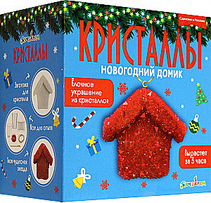 Experiment Set - Shaped Crystal. New Year's House