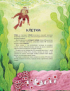 Kalejdoskop nauki