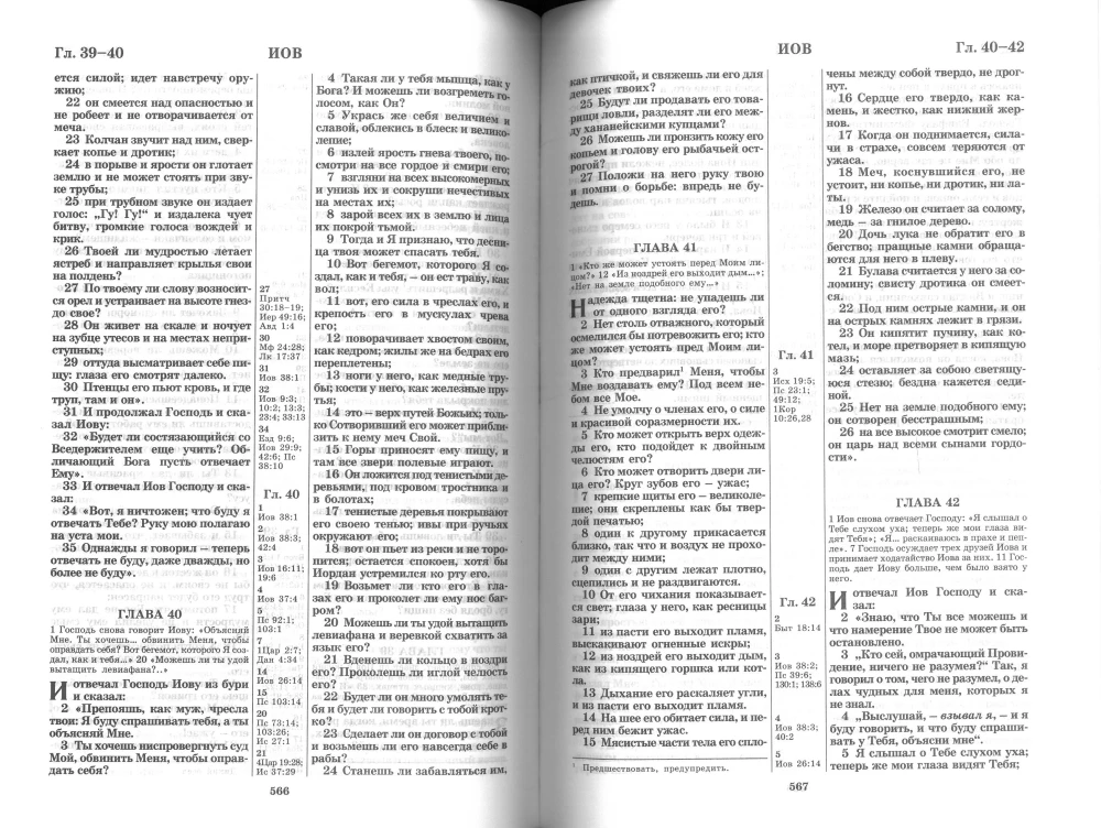 Die Bibel im großen Format