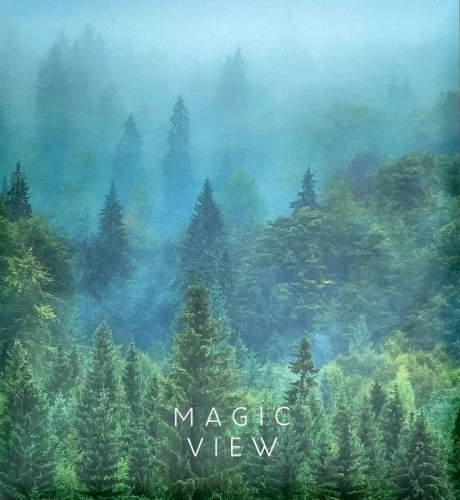 Fotoalbum mit 50 Magnetsheets - Nebel