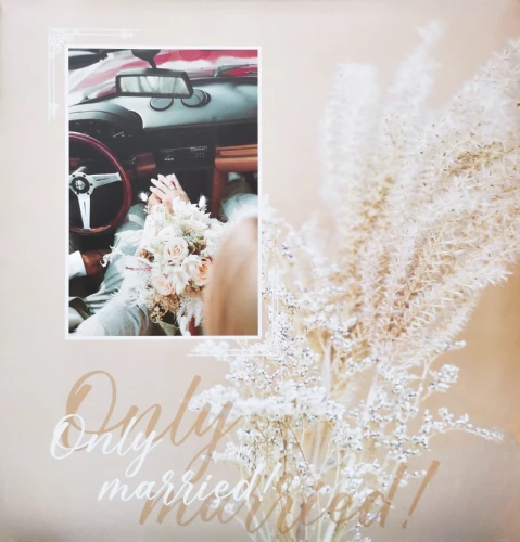 Fotoalbum für 500 Fotos - Hochzeitsauto
