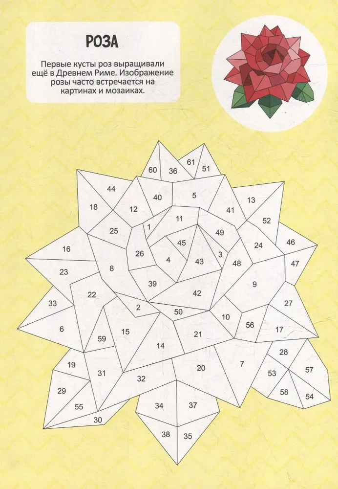 Color with Stickers by Numbers. Flowers