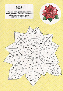 Color with Stickers by Numbers. Flowers