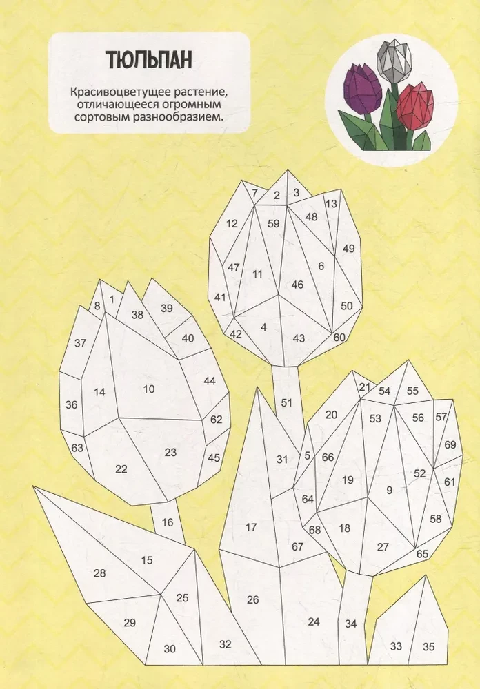 Color with Stickers by Numbers. Flowers