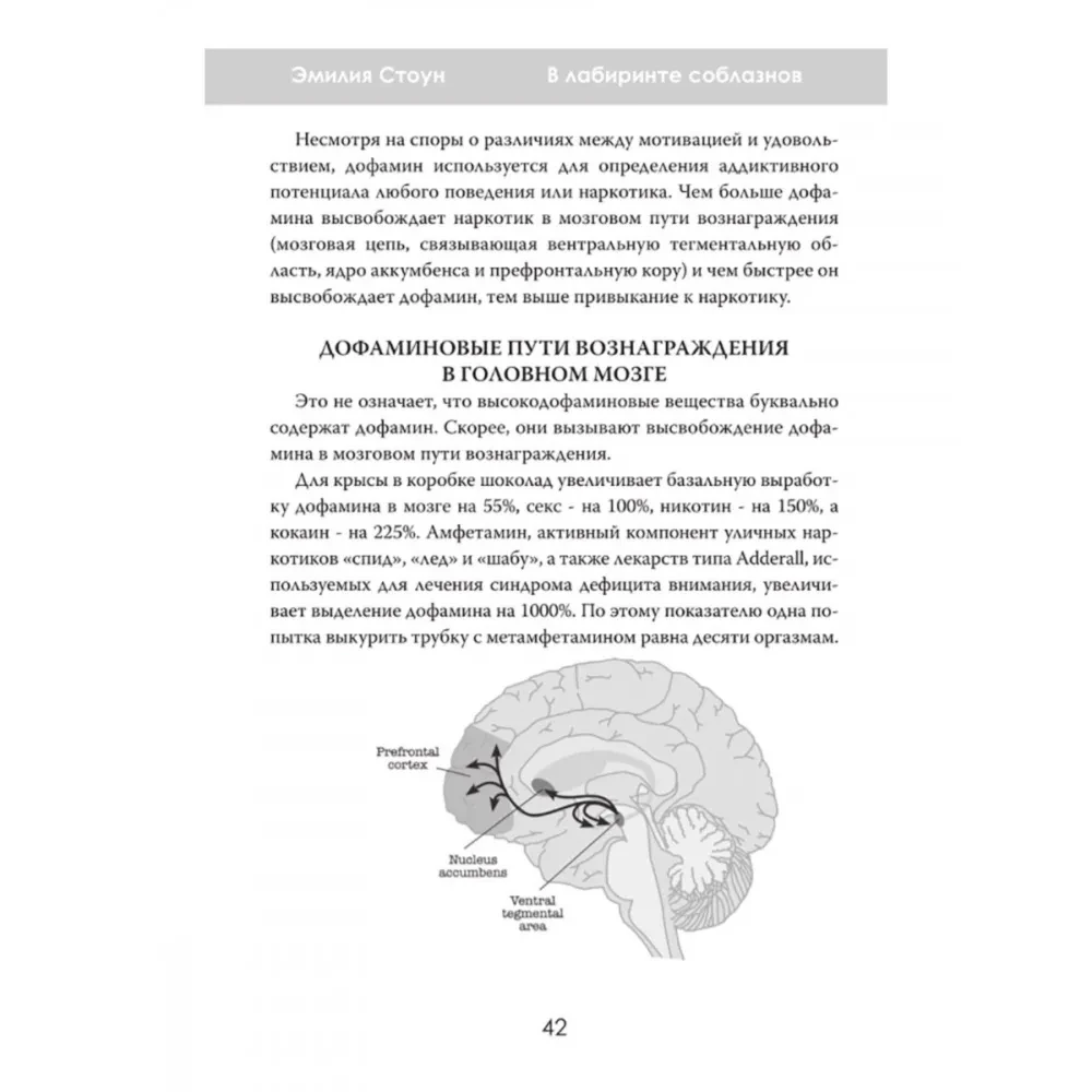 W labiryncie pokus. Psychologia uzależnienia w świecie technologii