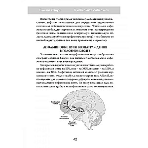 W labiryncie pokus. Psychologia uzależnienia w świecie technologii