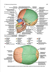 Human Anatomy. Exclusive Edition with a 50-Year History. Volume 1