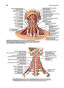 Human Anatomy. Exclusive Edition with a 50-Year History. Volume 1