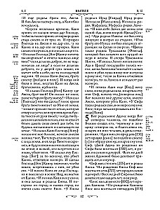 Die orthodoxe Bibel in Gold. Geschenkedition mit großer Schrift