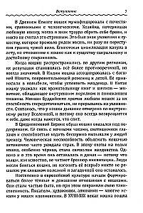 Кототерапия. Как кошки исцеляют душу и тело