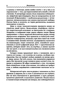 Кототерапия. Как кошки исцеляют душу и тело