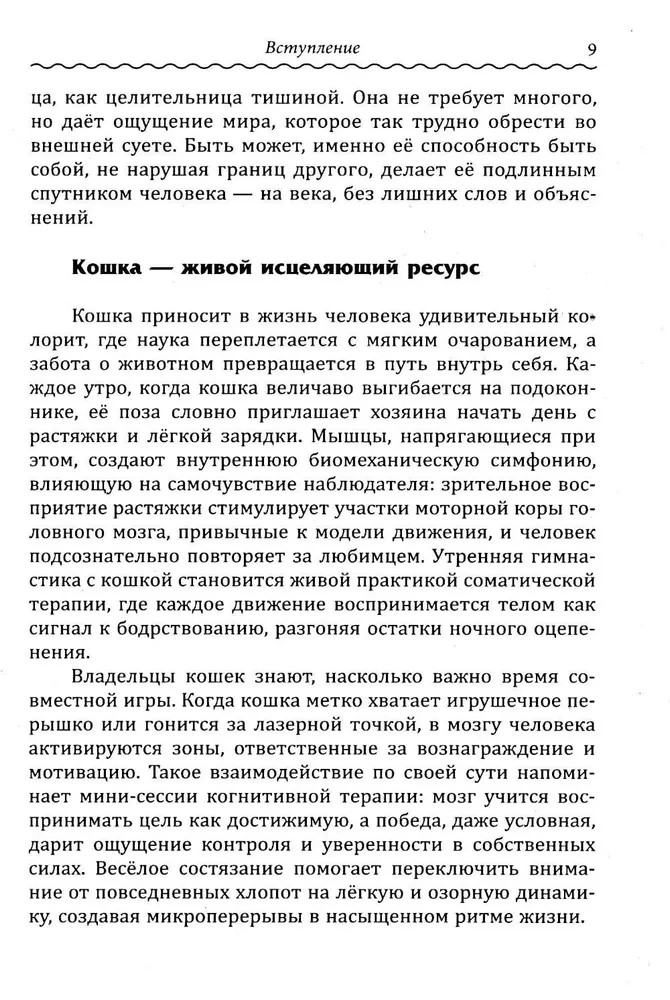 Кототерапия. Как кошки исцеляют душу и тело