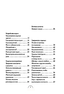 Czego chcą koty. Japoński bestseller o wychowywaniu futrzastych maluchów