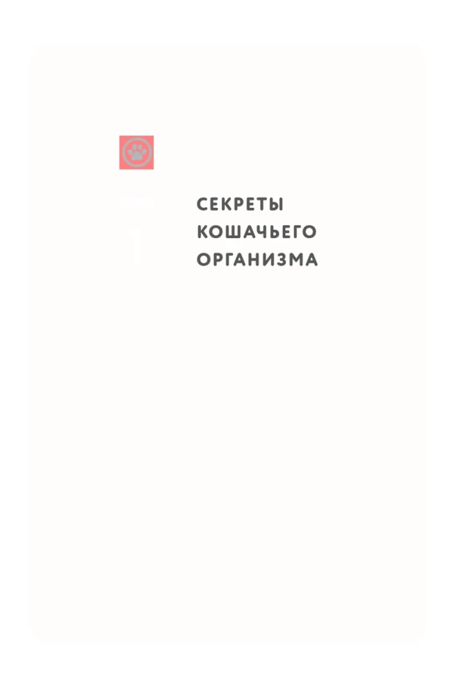 Czego chcą koty. Japoński bestseller o wychowywaniu futrzastych maluchów