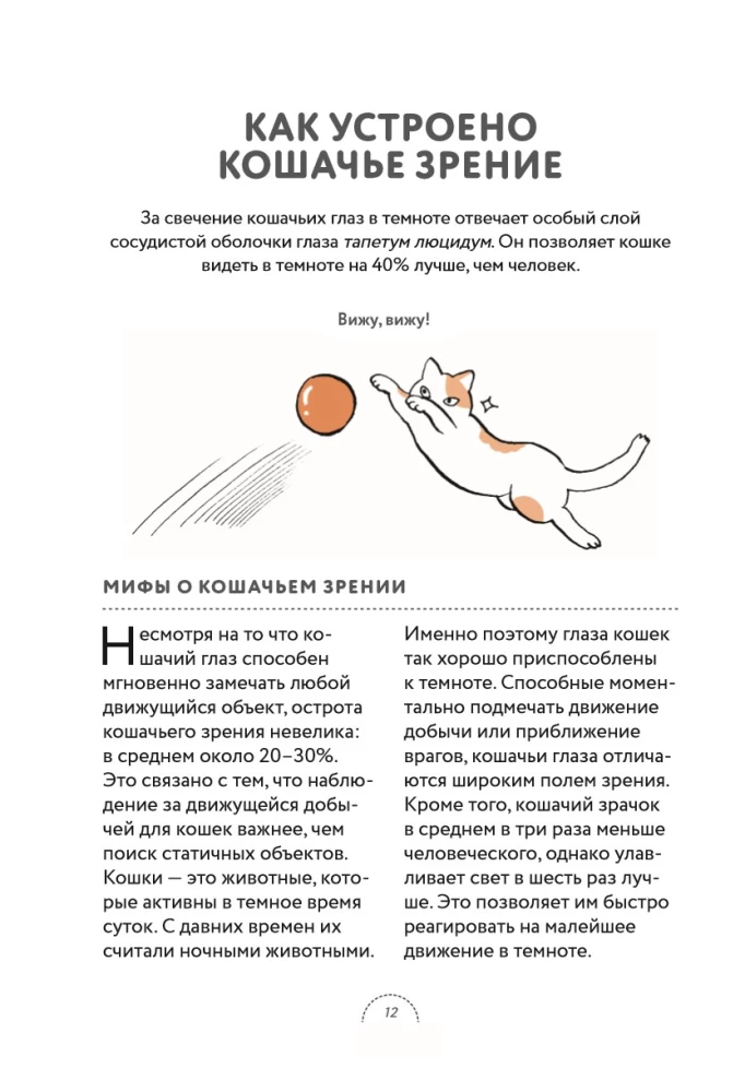 Czego chcą koty. Japoński bestseller o wychowywaniu futrzastych maluchów