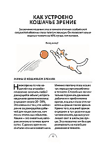 Czego chcą koty. Japoński bestseller o wychowywaniu futrzastych maluchów