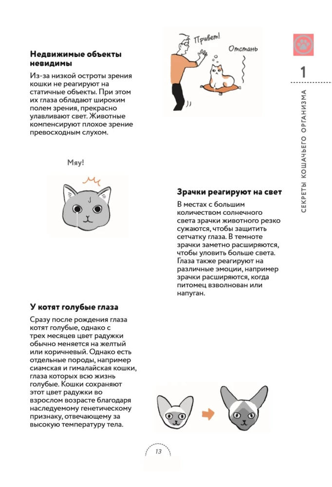 Czego chcą koty. Japoński bestseller o wychowywaniu futrzastych maluchów