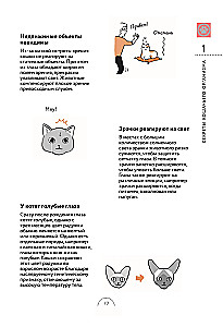 Czego chcą koty. Japoński bestseller o wychowywaniu futrzastych maluchów