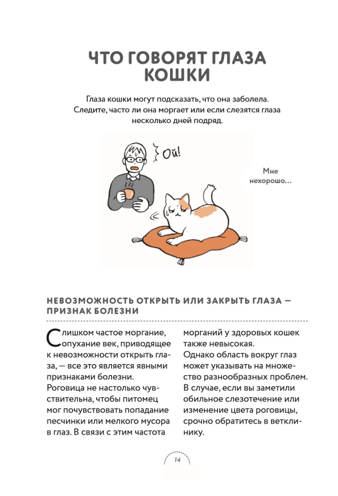 Czego chcą koty. Japoński bestseller o wychowywaniu futrzastych maluchów