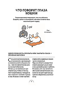 Czego chcą koty. Japoński bestseller o wychowywaniu futrzastych maluchów